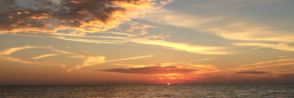 alli_mahonski's profile banner image