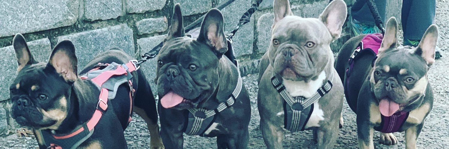 Headsfrenchies banner