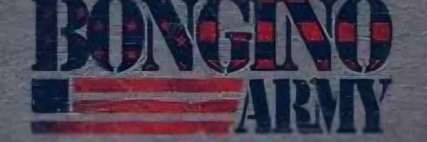Lee351T Profile Banner