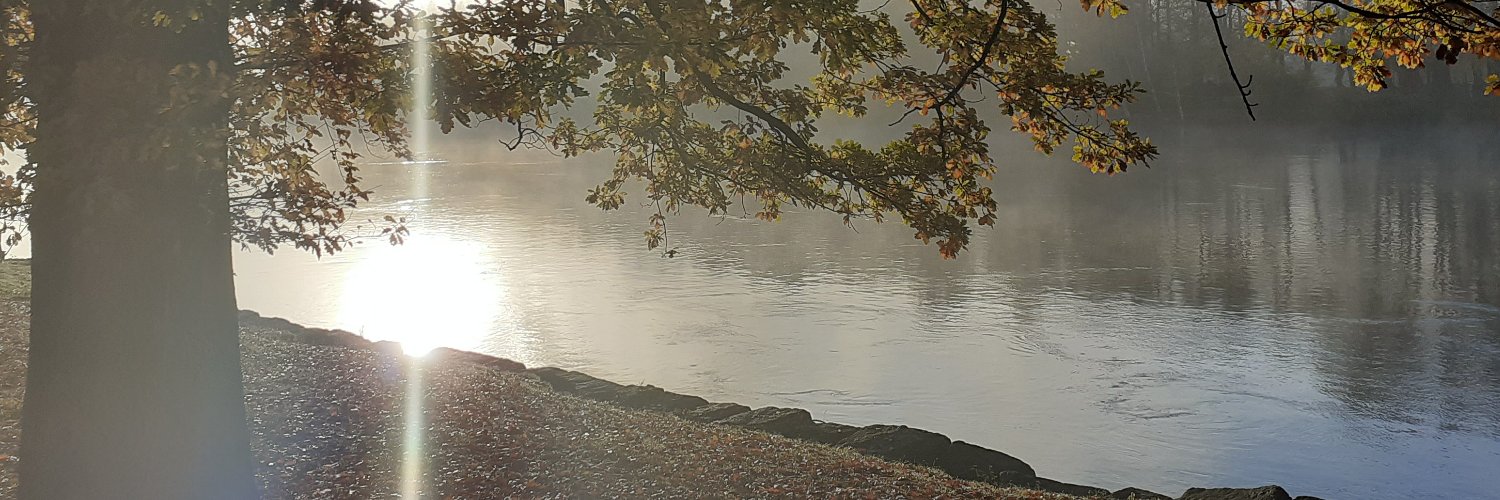 HamreTorhild's profile banner image