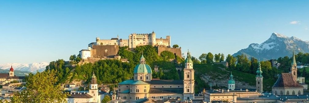 Martin Himly (PLUS) banner