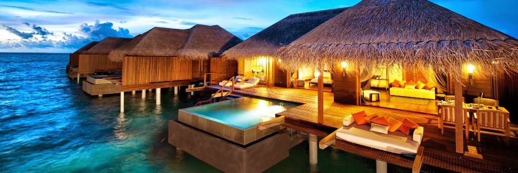 mtrisepaddy's profile banner image