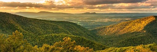 🇺🇸 UltraMAGA Hillbilly 🇺🇸 banner