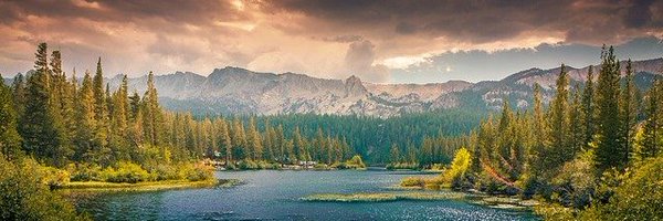 MaxpeedingrodsS Profile Banner