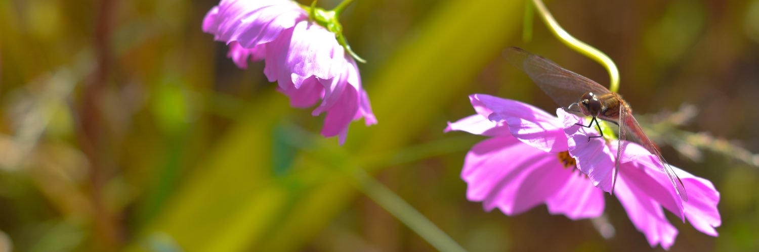 う づ き。 banner