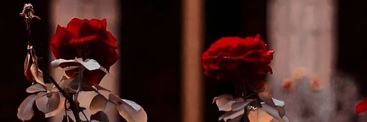 PapiOscuridad's profile banner image