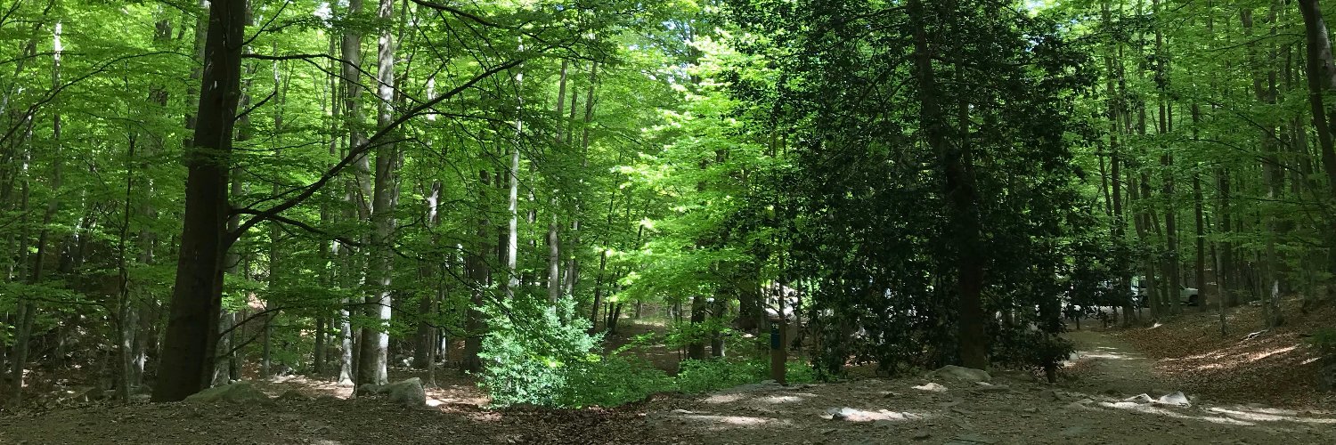 Barbara Pernaute banner