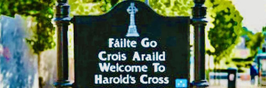 Harolds Cross D6W banner