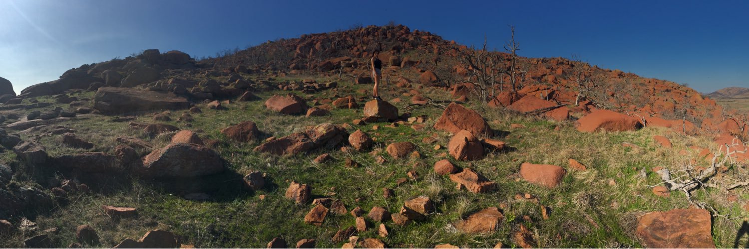 Nathan Forest banner