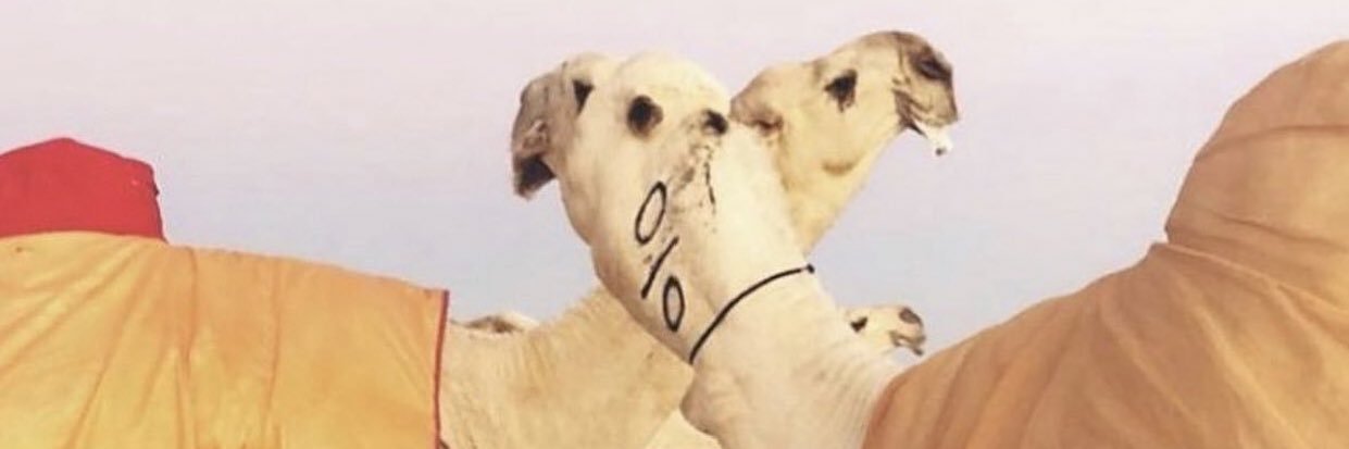 جزاع بن عون banner