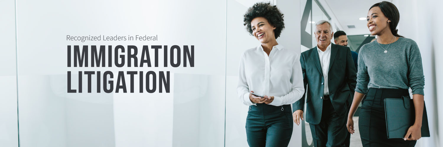 IMMpact Litigation banner