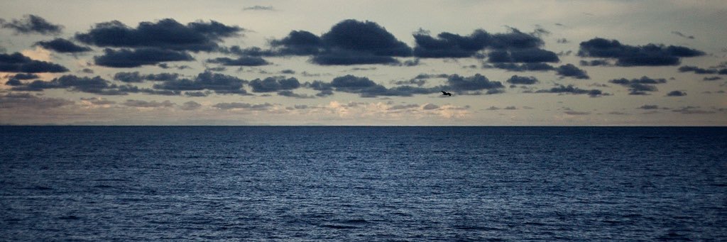 afipod's profile banner image