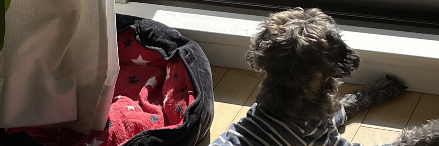 ぱっつぁん banner