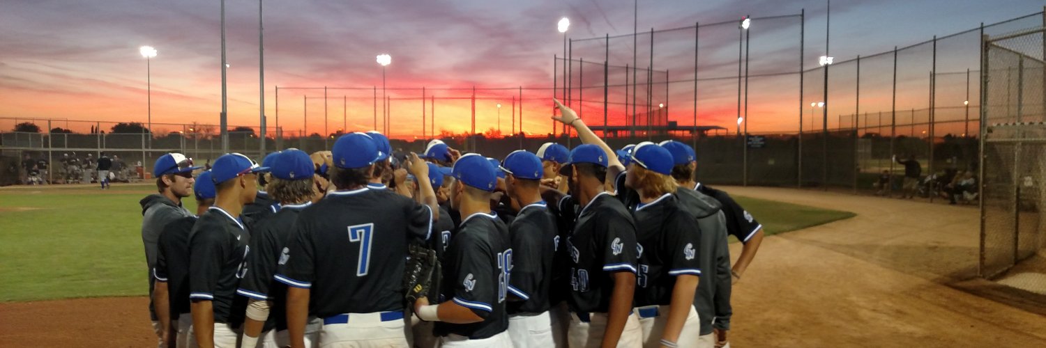 GeckNation Baseball banner