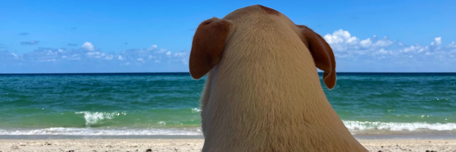 Seth Jacoby Ⓥ banner