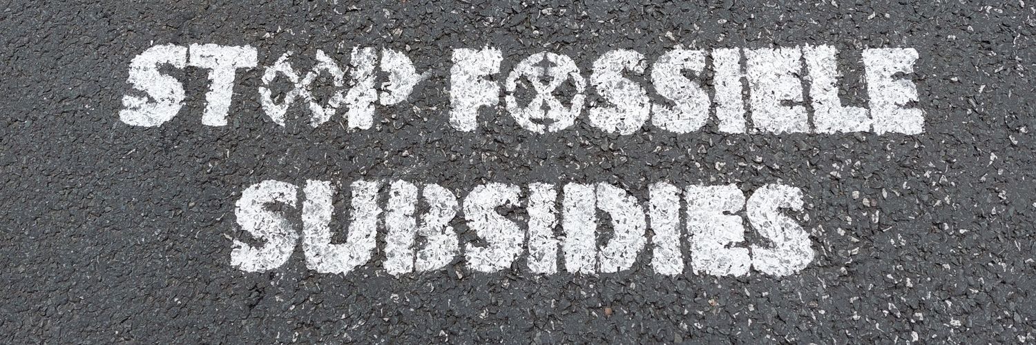 🟥🇵🇸🌱🐝@bea1957.bsky.social banner