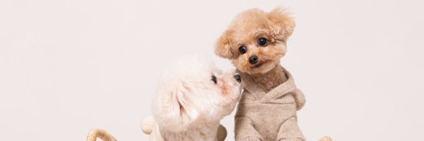 lily_mocha_days Profile Banner