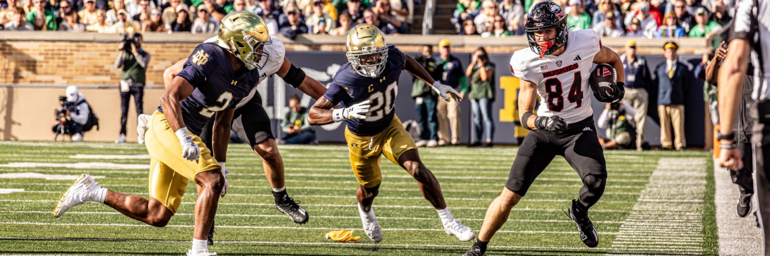 George Dimopoulos banner