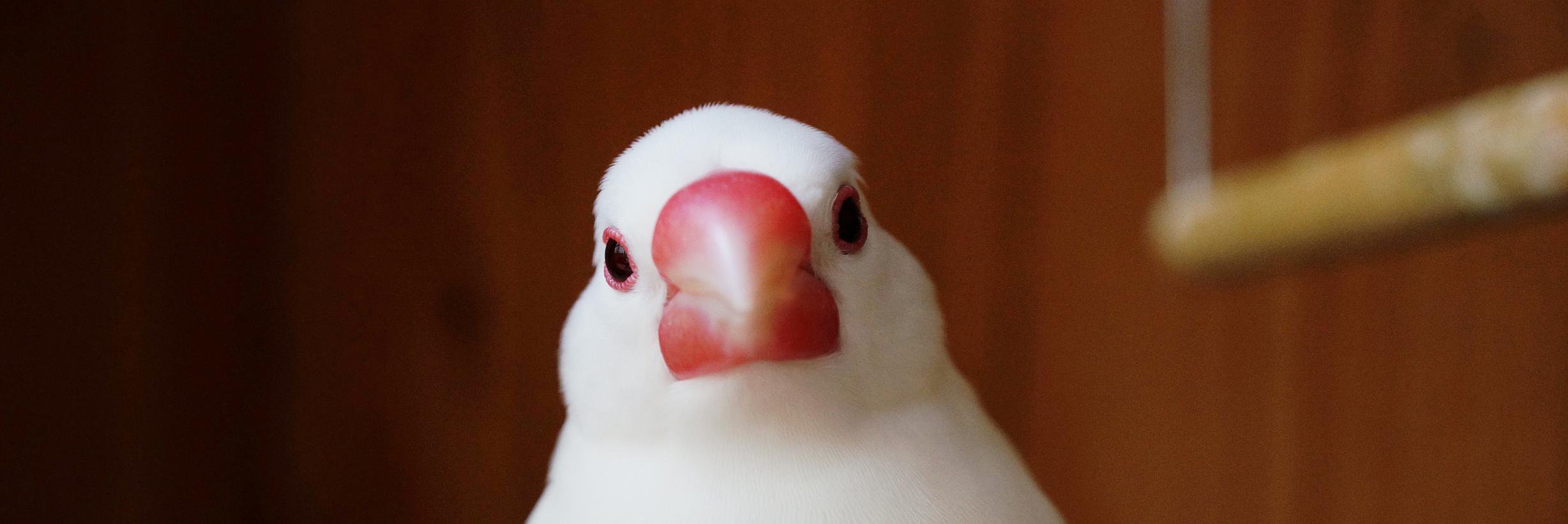 omoton's profile banner image