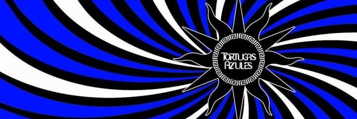 TheBlueTurtles's profile banner image