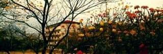 marigaby_11's profile banner image