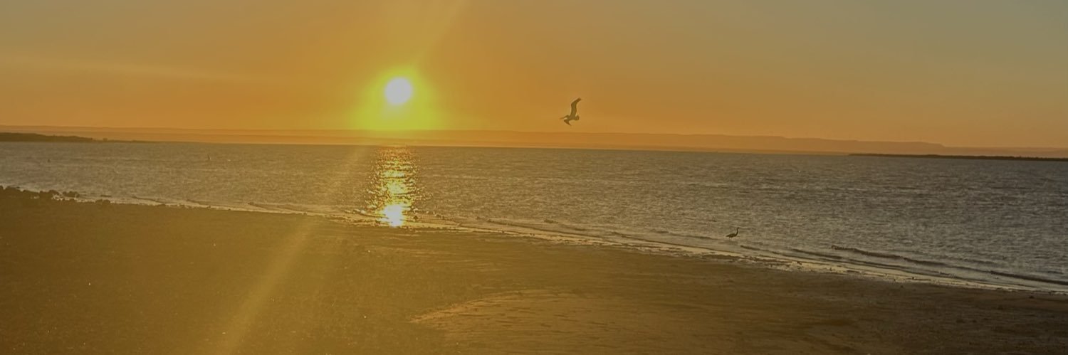 samantagzzR's profile banner image