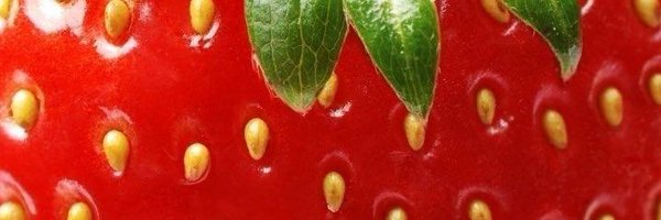 cosertlouis Profile Banner