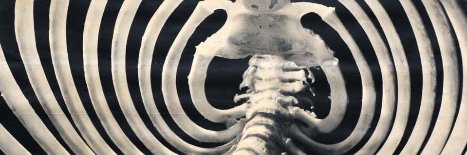 🚶🚕💥👻 banner