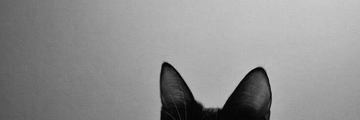 __beln's profile banner image