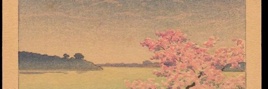 lissyarmendariz's profile banner image