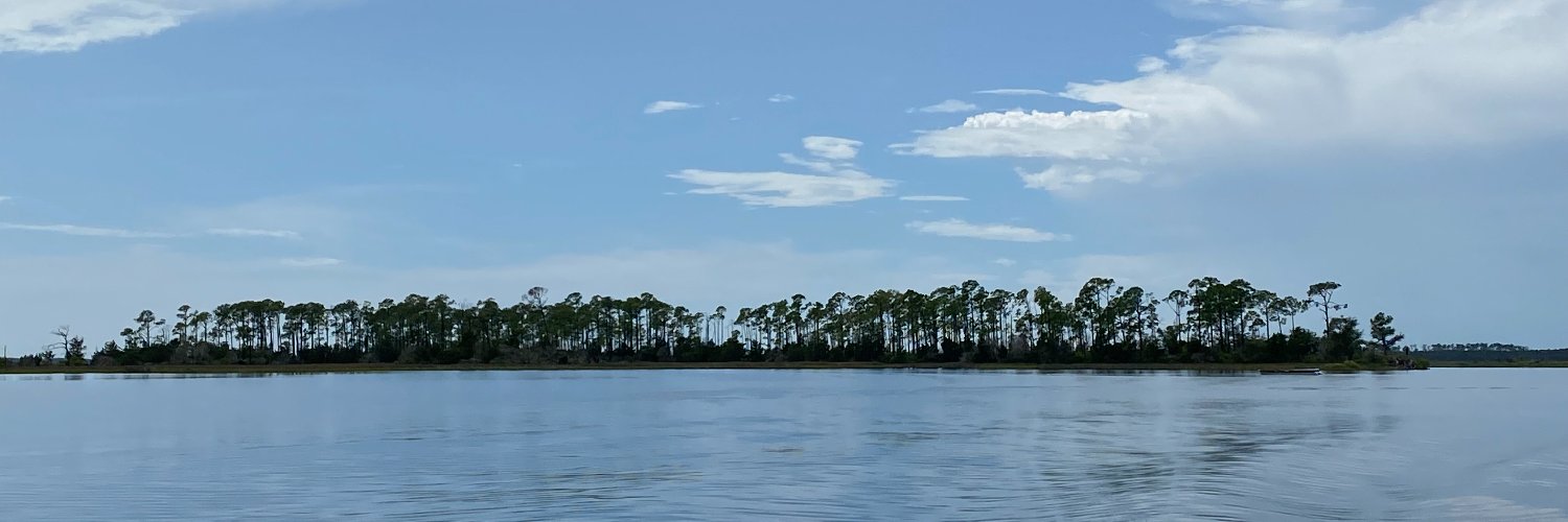 sciweaver's profile banner image