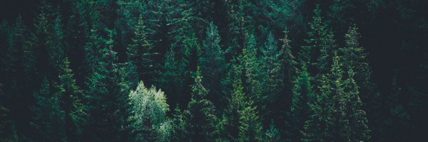 YieldAlchemy Profile Banner