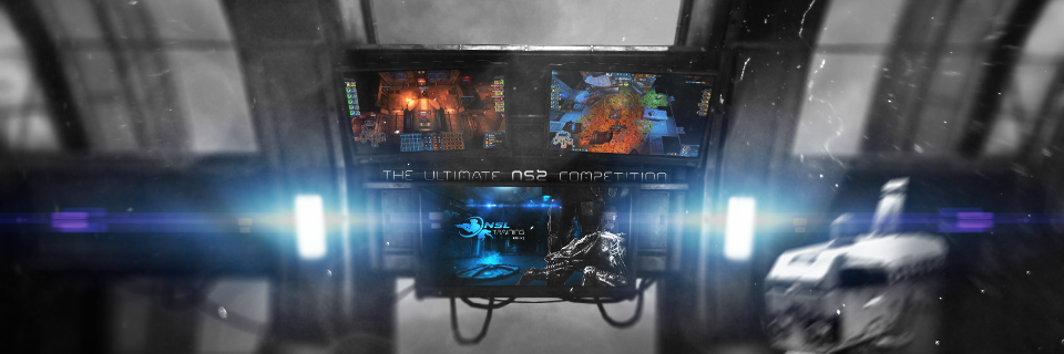NSL banner