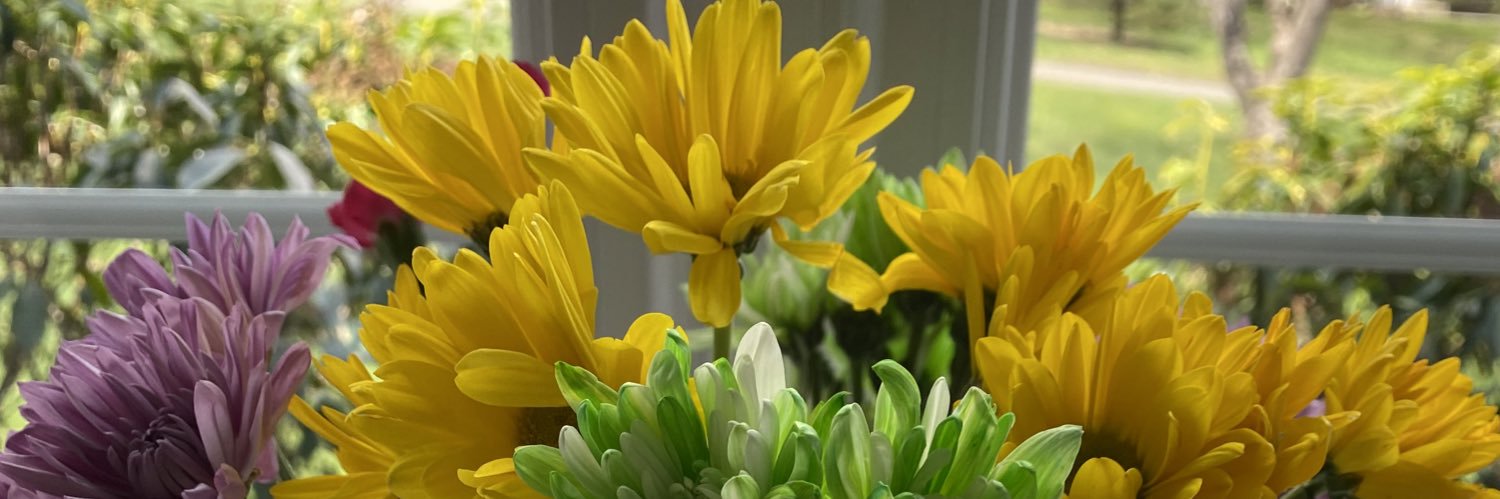 SandyMorrill's profile banner image