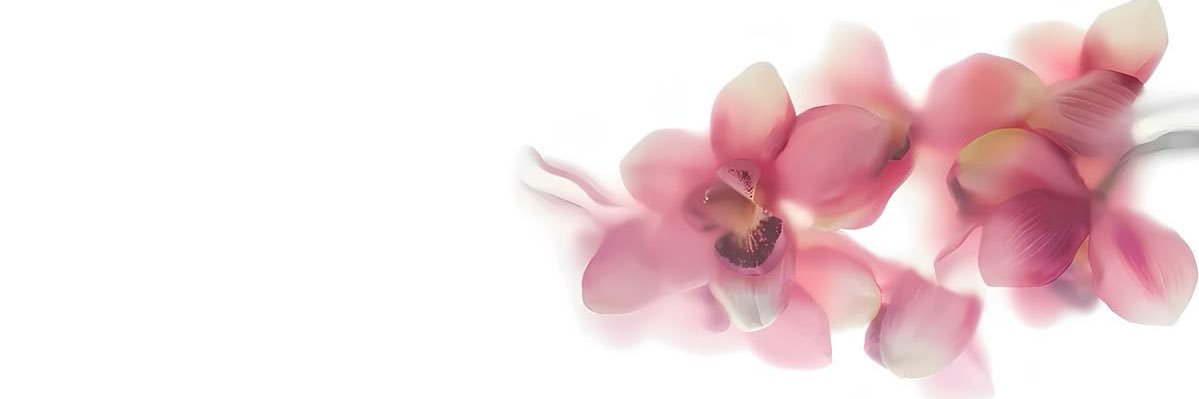 z banner