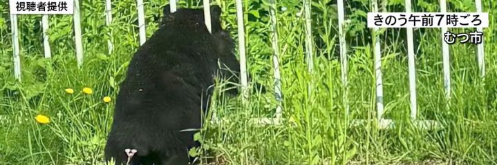 ミナ♡funny girl banner