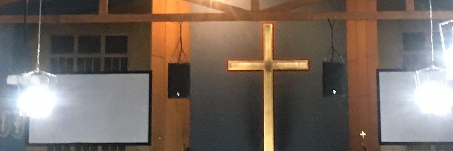 STPLCMS's profile banner image