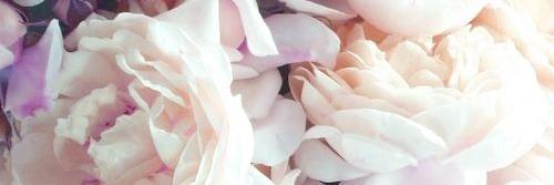 RachelRahni's profile banner image