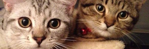 mee_nadee Profile Banner