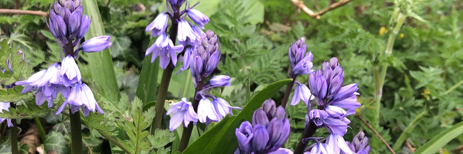 Clare Cunningham banner