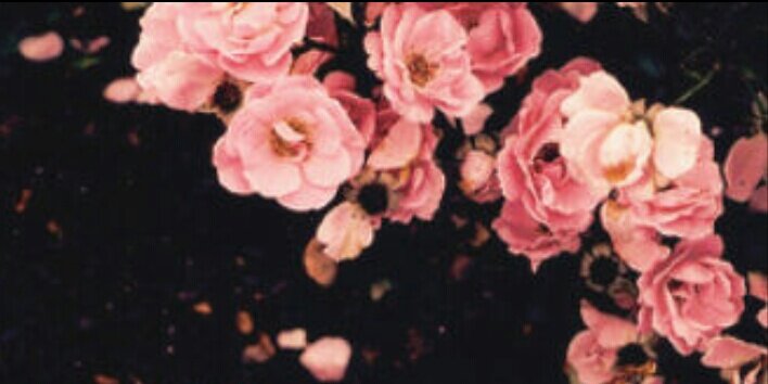9_n1992's profile banner image