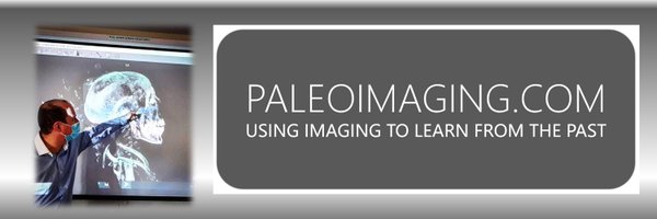 Paleoimaging Profile Banner