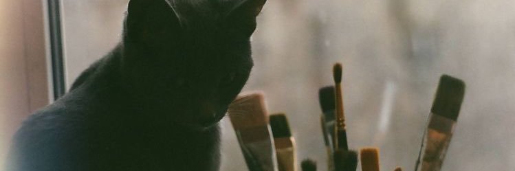 trjhmxm's profile banner image