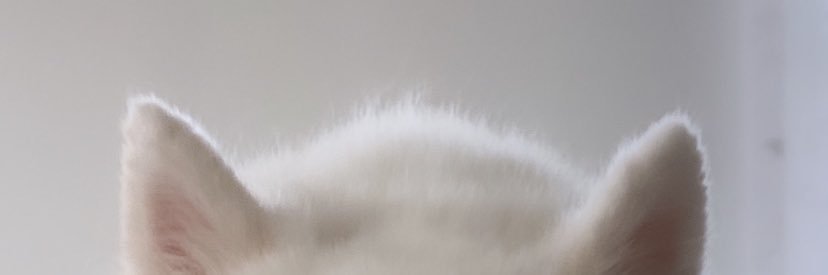 bbjejam's profile banner image