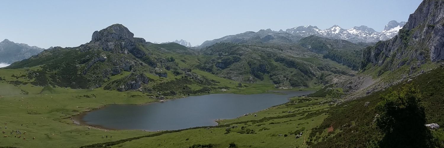 MarioArenal's profile banner image