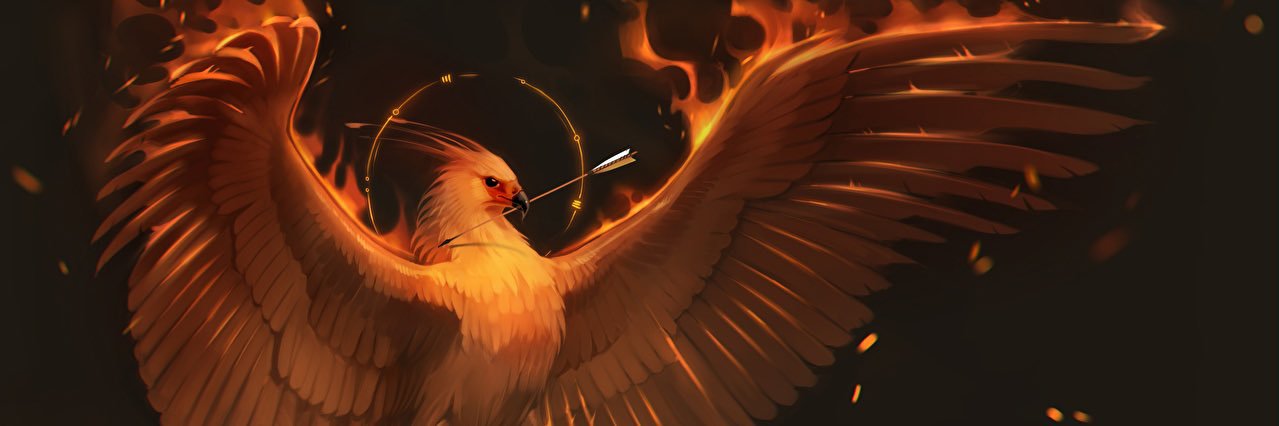 Caboyote's profile banner image