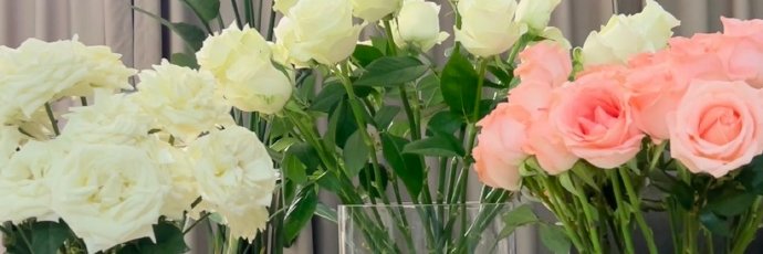 busyrofi's profile banner image