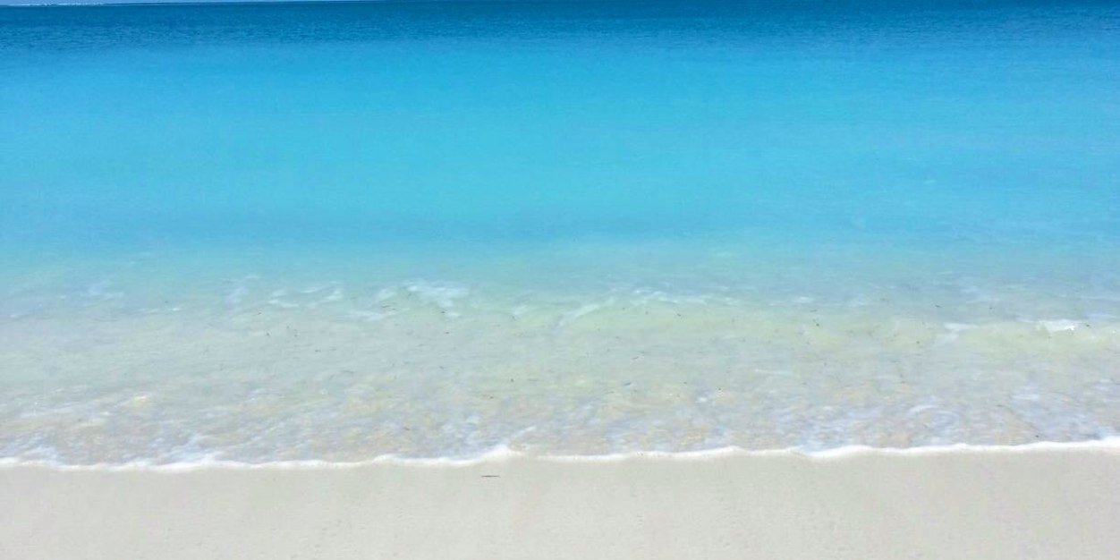 Megan Bartlett banner