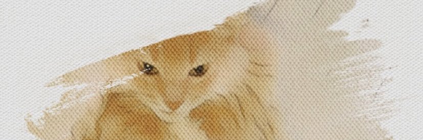 Neguse_de_gogo's profile banner image