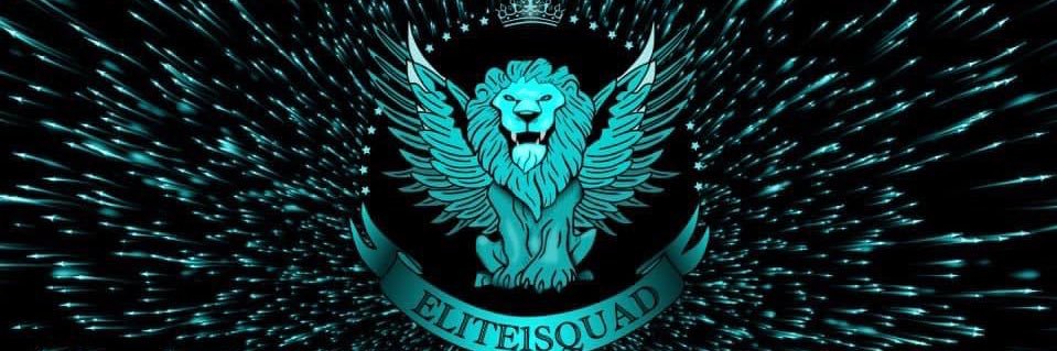 Elite1Squad banner